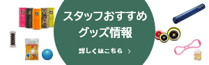 スタッフおすすめグッズ情報
