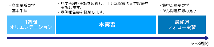 curriculum.gif