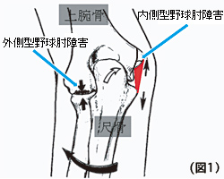 orthopedics_08b.jpg