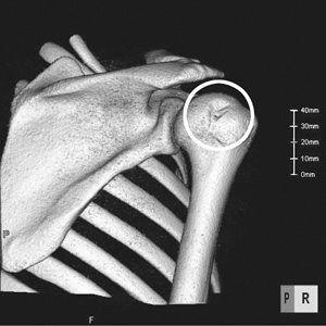 orthopedics_24a.jpg