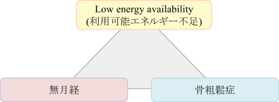 low energy availability（利用可能エネルギー不足）